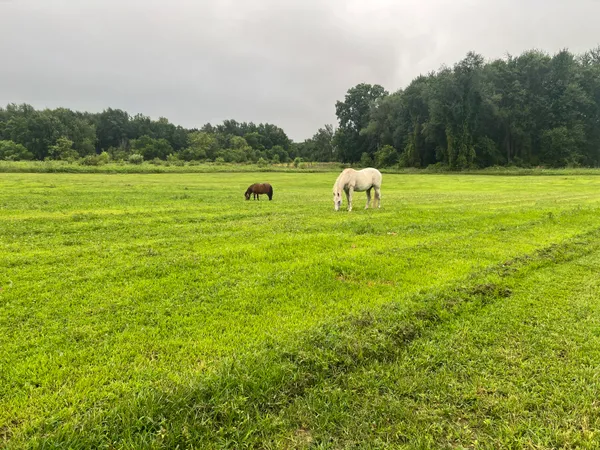 $525,000 | 19250 Homer Road, Marshall, MI 49068