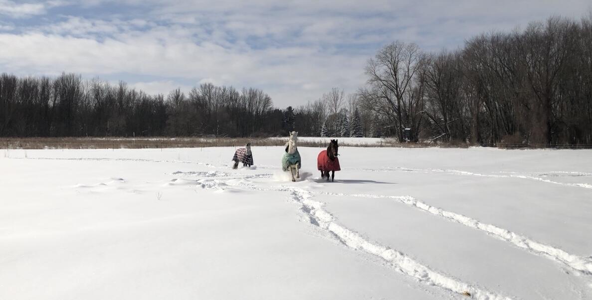 19250 Homer Road Marshall, MI 49068 - Photo 68 of 94 IMG_5233