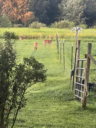 $525,000 | 19250 Homer Road, Marshall, MI 49068