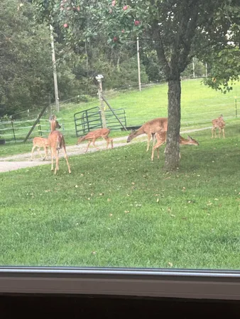 $525,000 | 19250 Homer Road, Marshall, MI 49068