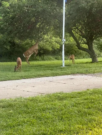 $525,000 | 19250 Homer Road, Marshall, MI 49068