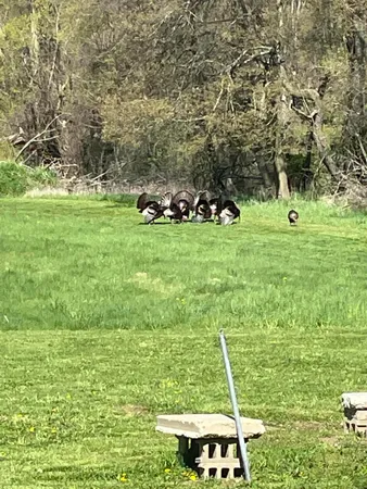 $525,000 | 19250 Homer Road, Marshall, MI 49068