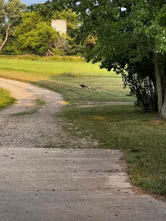 $525,000 | 19250 Homer Road, Marshall, MI 49068