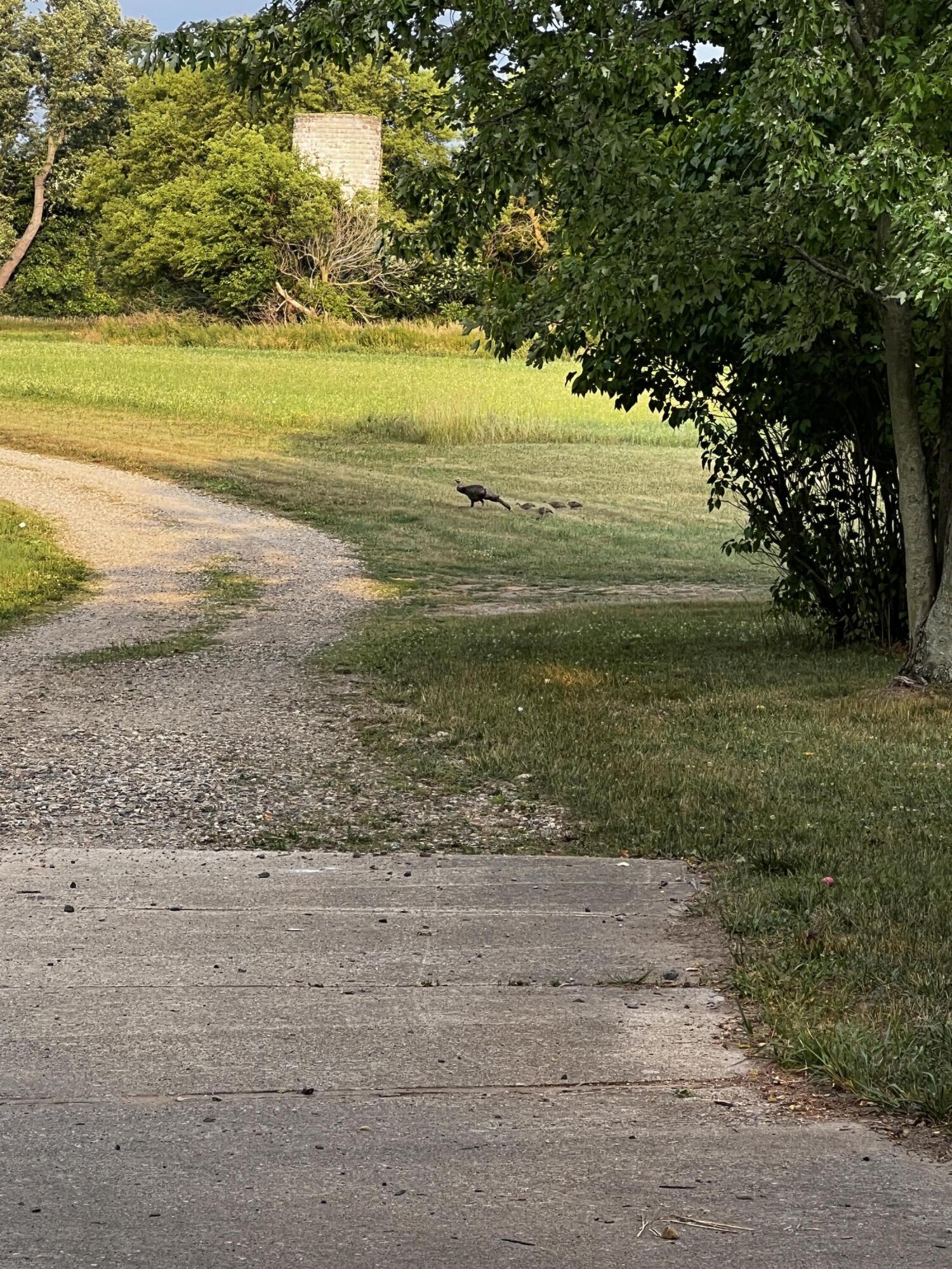 19250 Homer Road Marshall, MI 49068 - Photo 75 of 94 IMG_5249