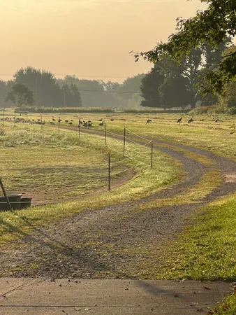 $525,000 | 19250 Homer Road, Marshall, MI 49068