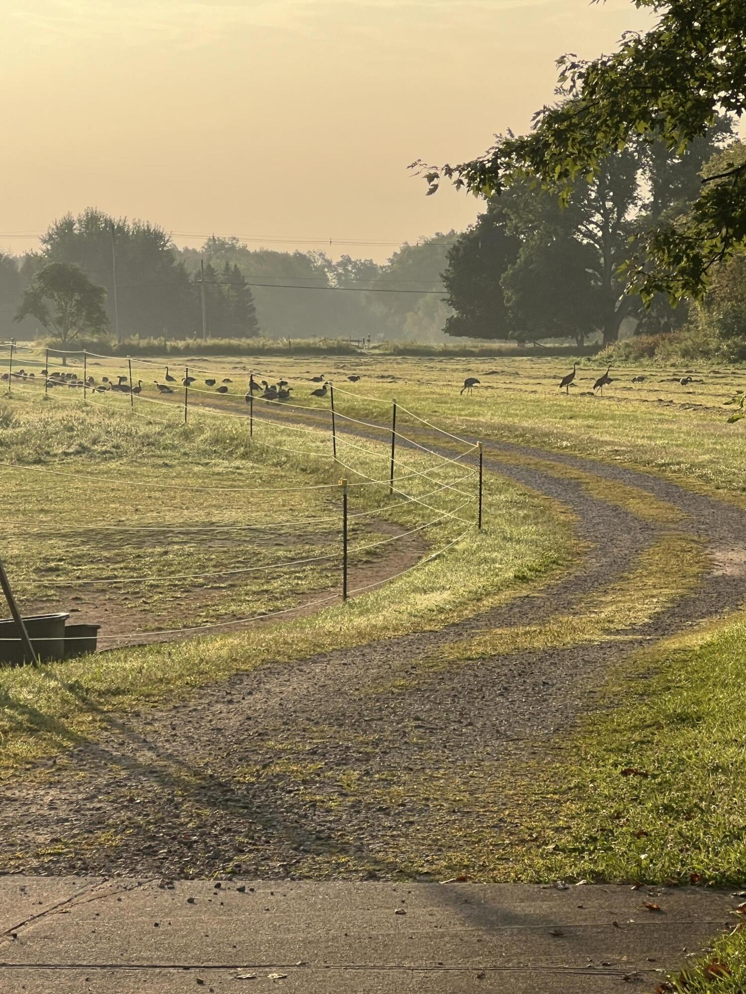 19250 Homer Road Marshall, MI 49068 - Photo 76 of 94 IMG_5254