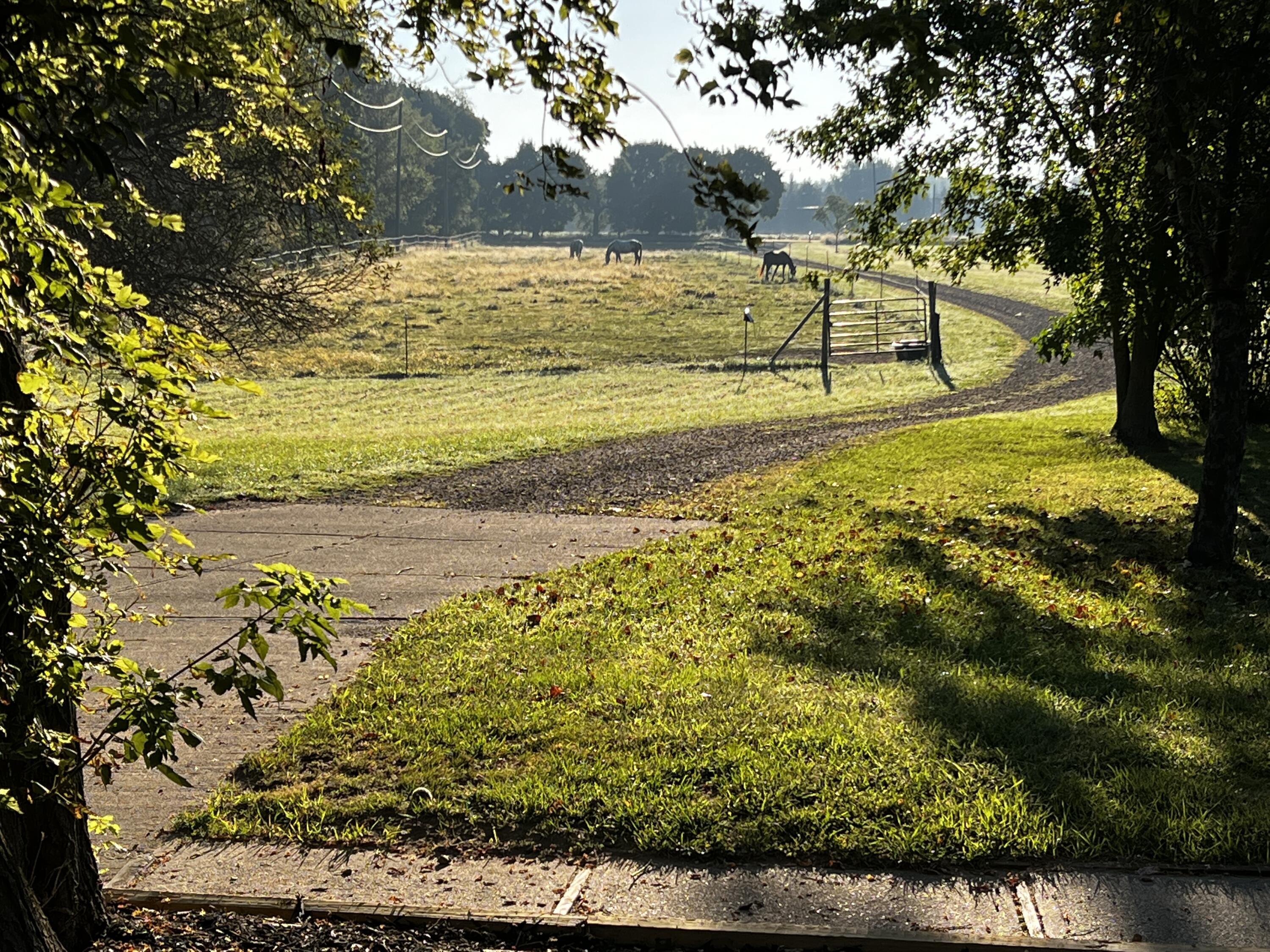 19250 Homer Road Marshall, MI 49068 - Photo 77 of 94 IMG_5266