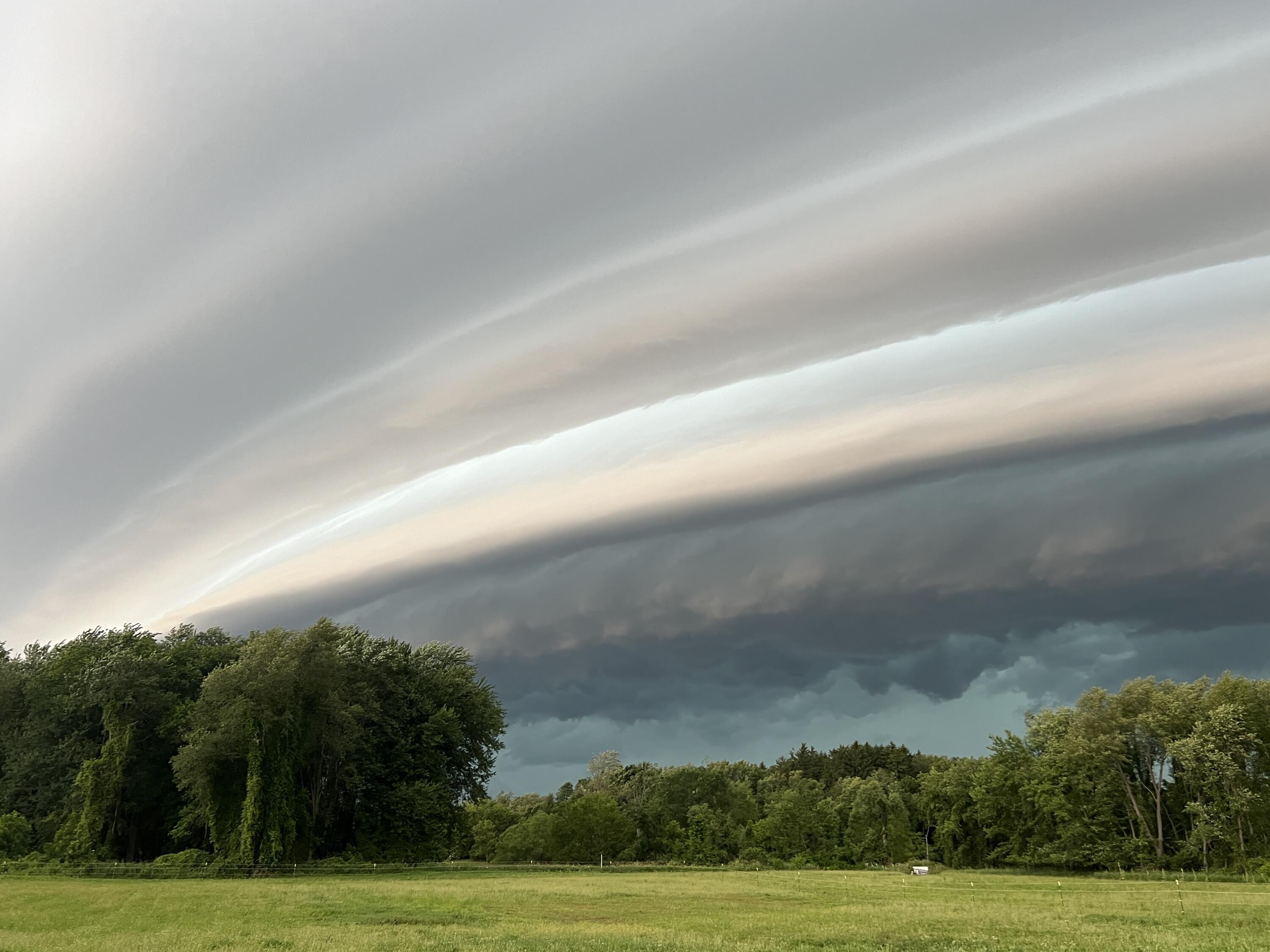 19250 Homer Road Marshall, MI 49068 - Photo 81 of 94 IMG_5250