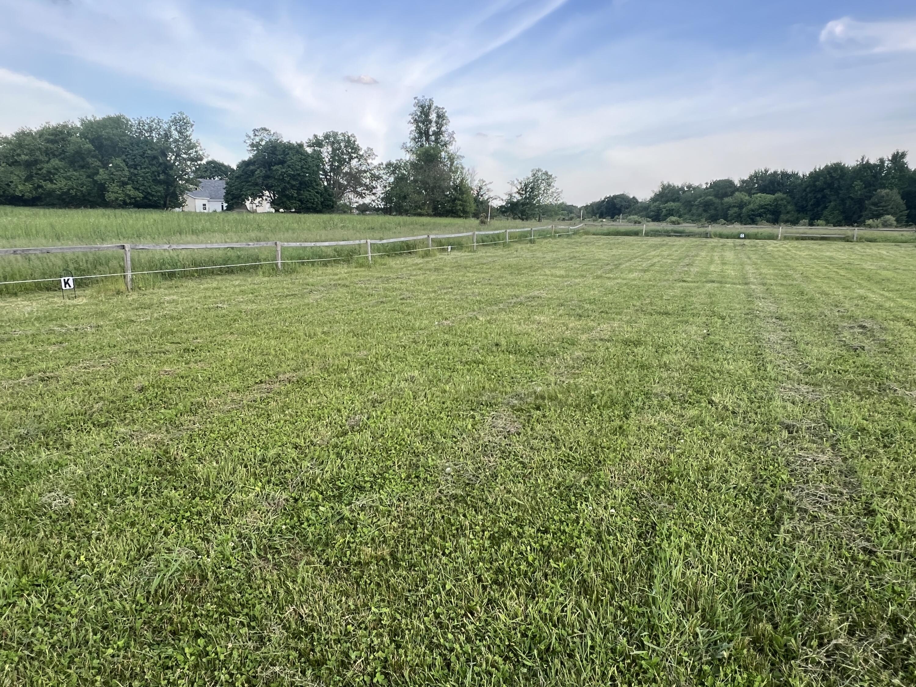 19250 Homer Road Marshall, MI 49068 - Photo 82 of 94 IMG_5236