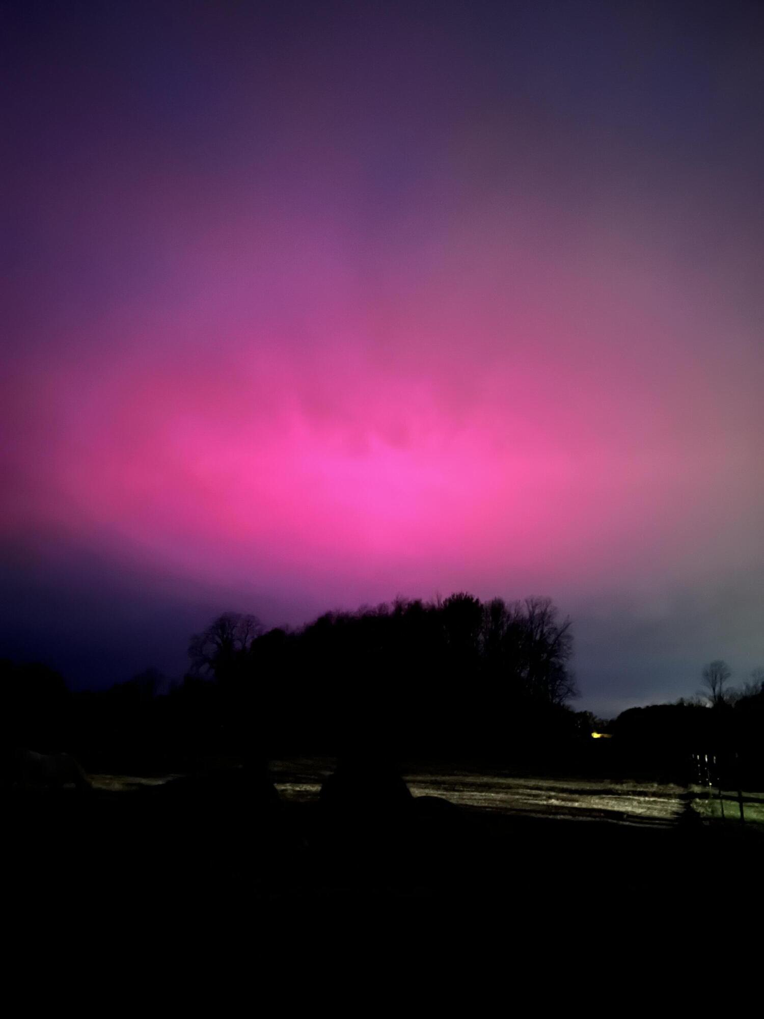 19250 Homer Road Marshall, MI 49068 - Photo 83 of 94 IMG_5256