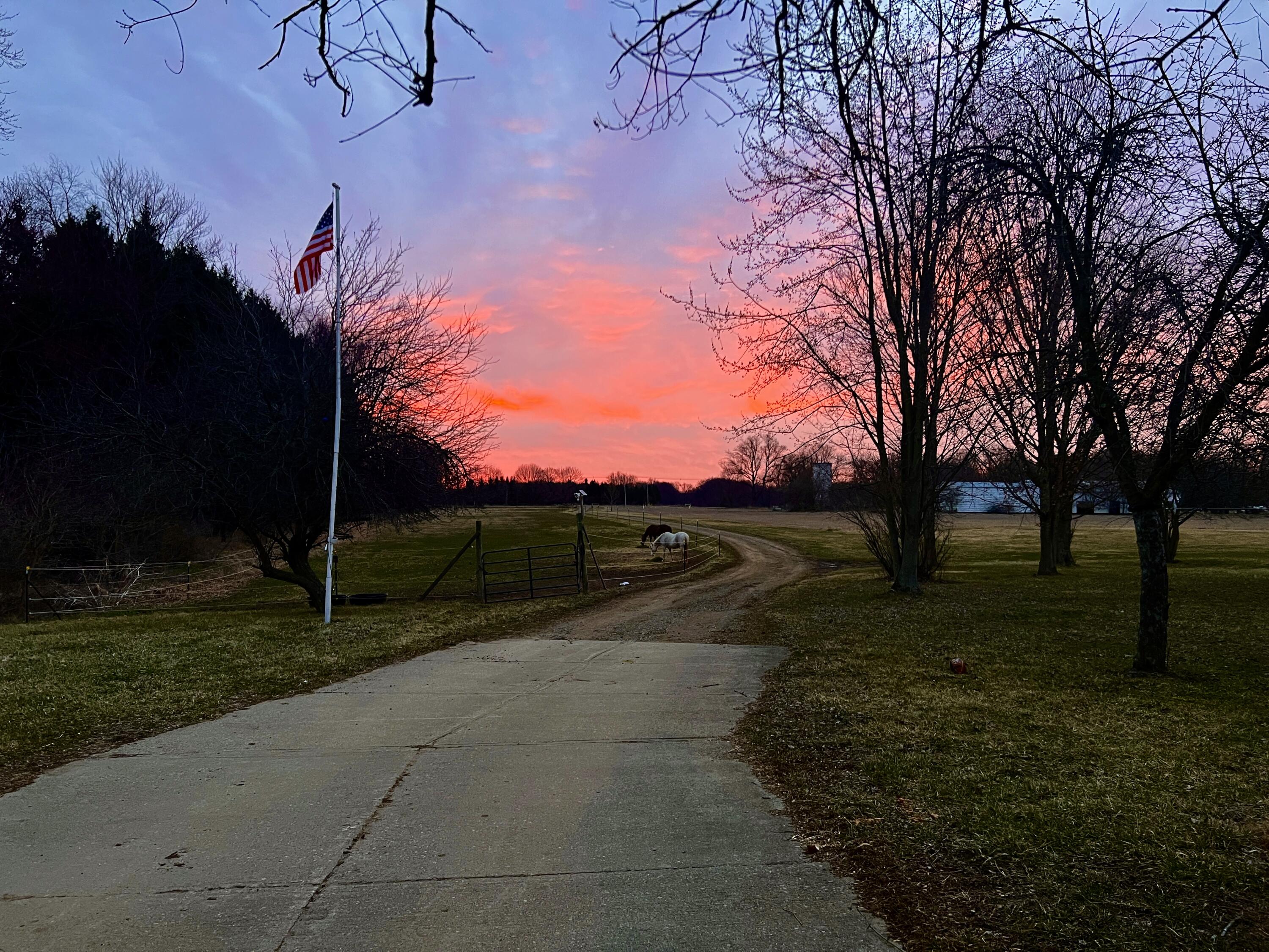 19250 Homer Road Marshall, MI 49068 - Photo 84 of 94 IMG_5251
