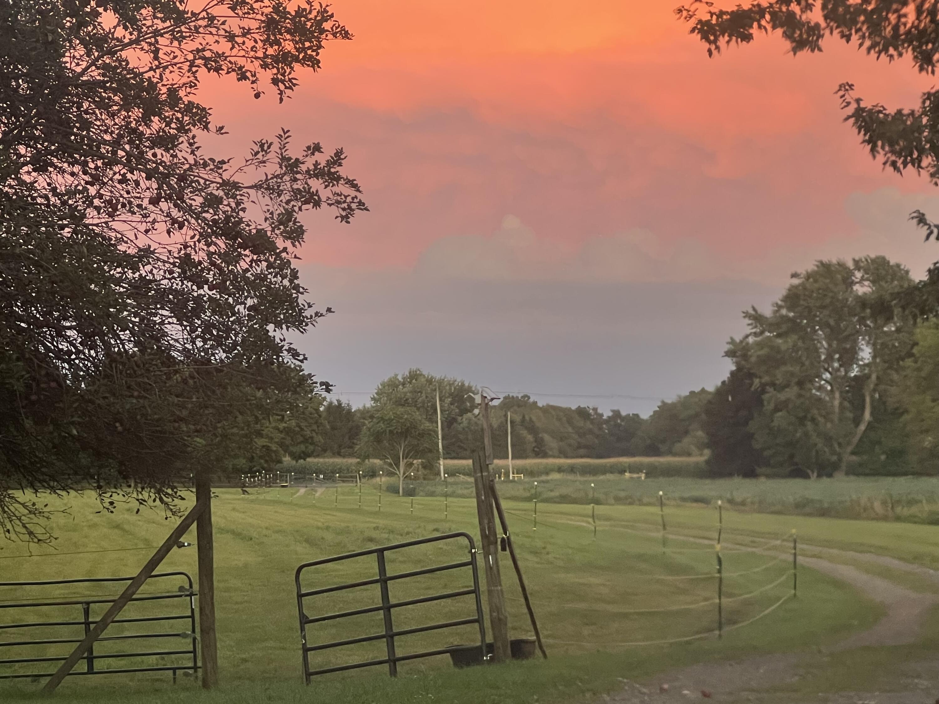 19250 Homer Road Marshall, MI 49068 - Photo 86 of 94 IMG_5243