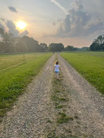 $525,000 | 19250 Homer Road, Marshall, MI 49068