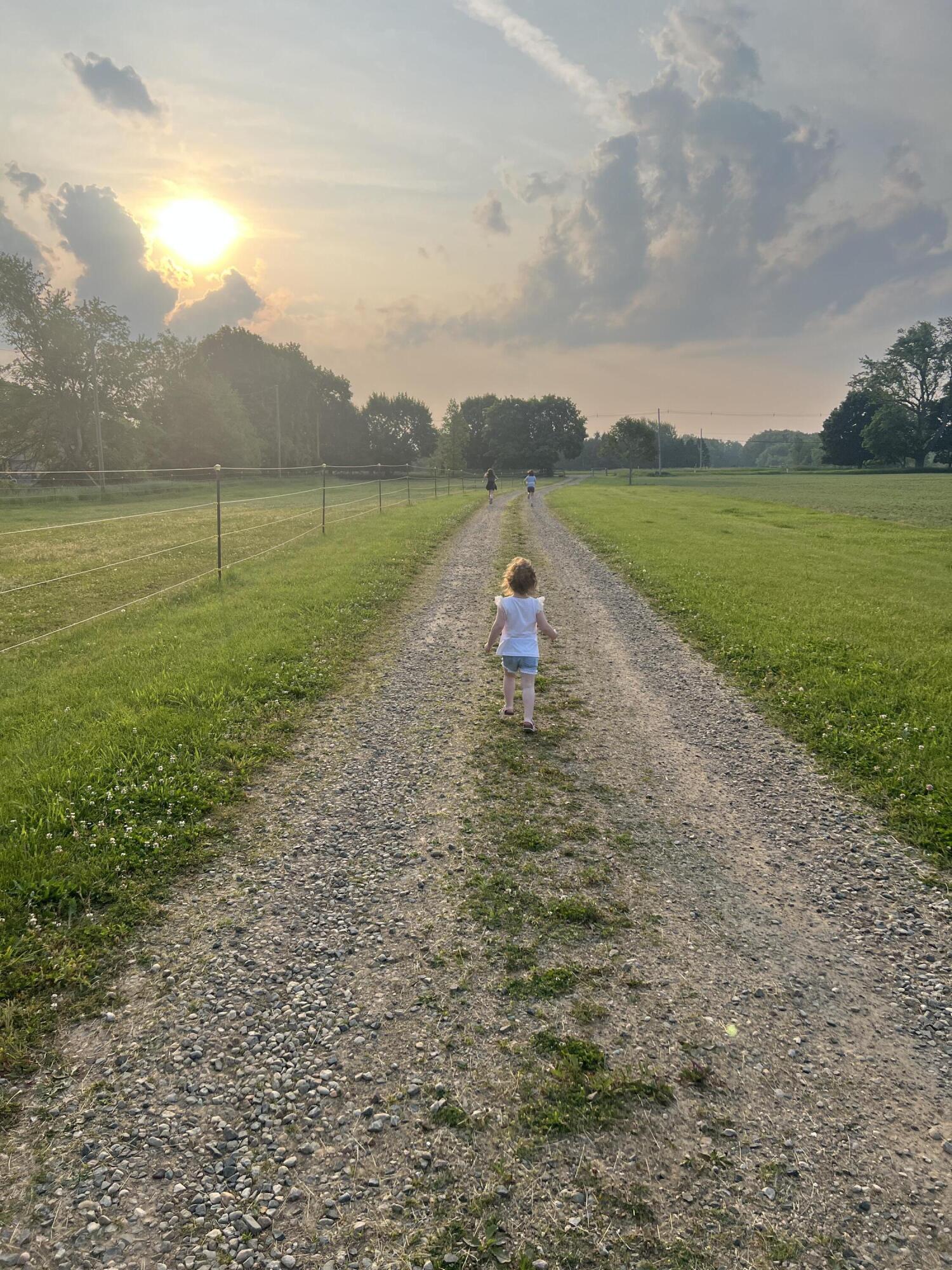 19250 Homer Road Marshall, MI 49068 - Photo 89 of 94 IMG_5235