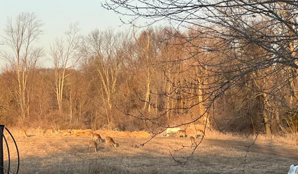 $525,000 | 19250 Homer Road, Marshall, MI 49068