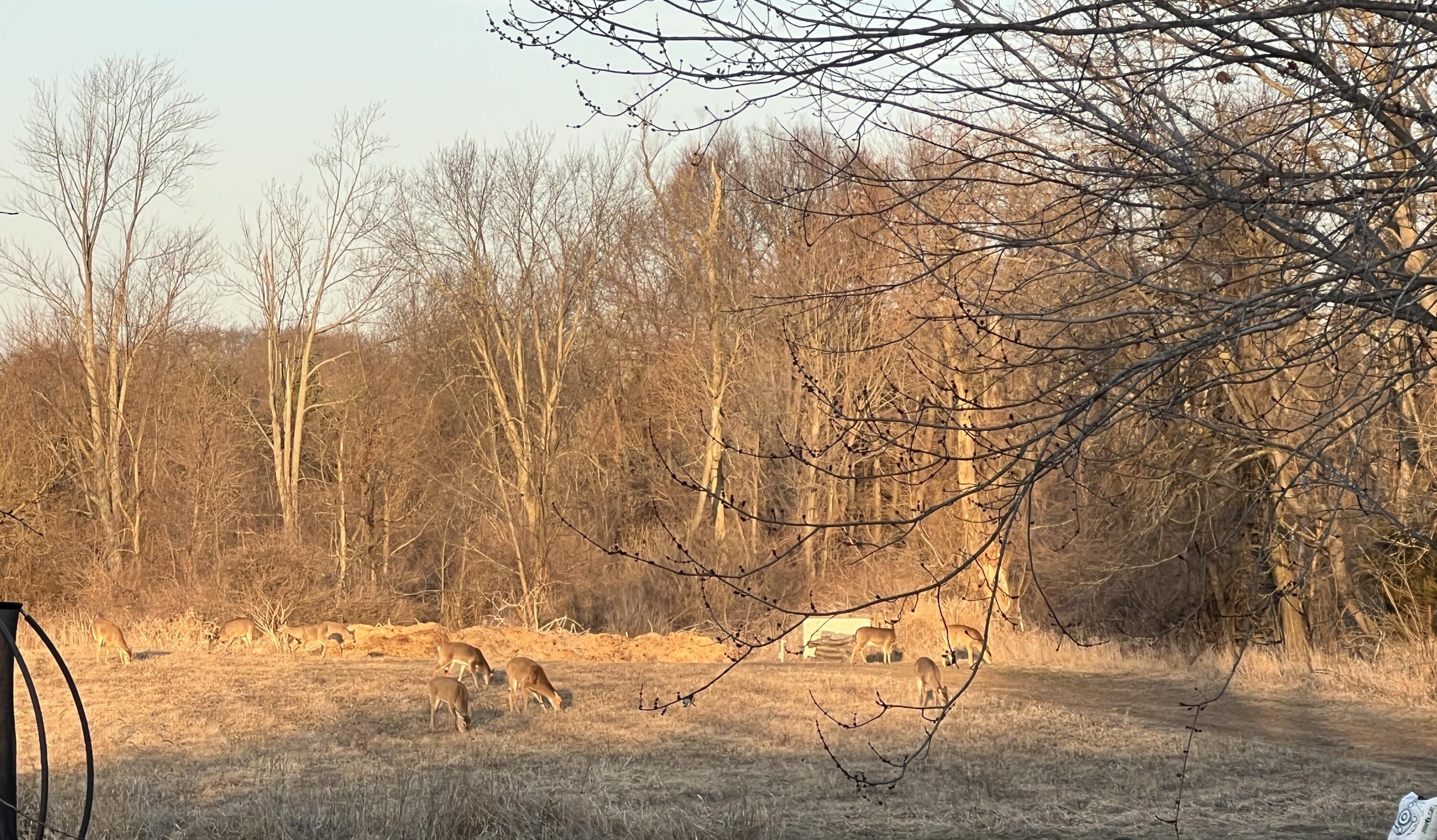 19250 Homer Road Marshall, MI 49068 - Photo 93 of 94 IMG_5232