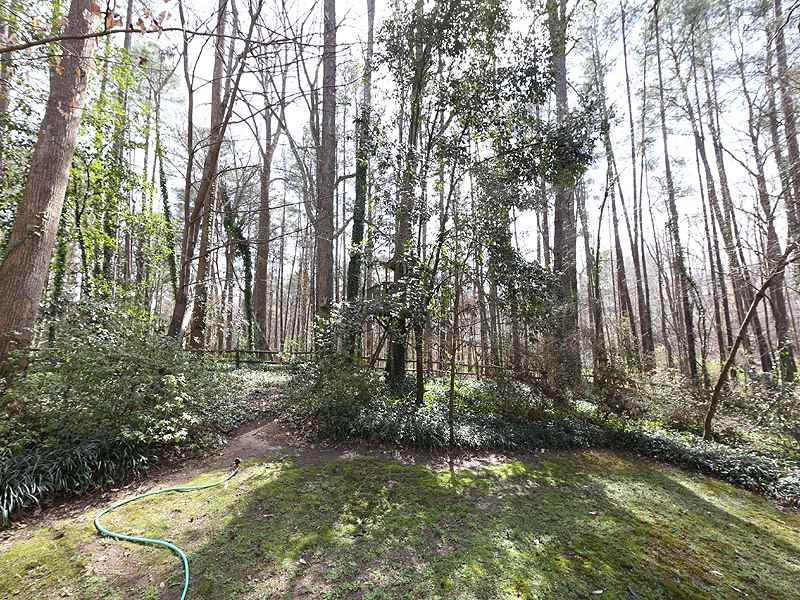 211 Winterberry Ridge Drive Durham, NC 27713 - Photo 13 of 14 Photo 13