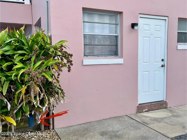 a potted plant sitting in front of a door