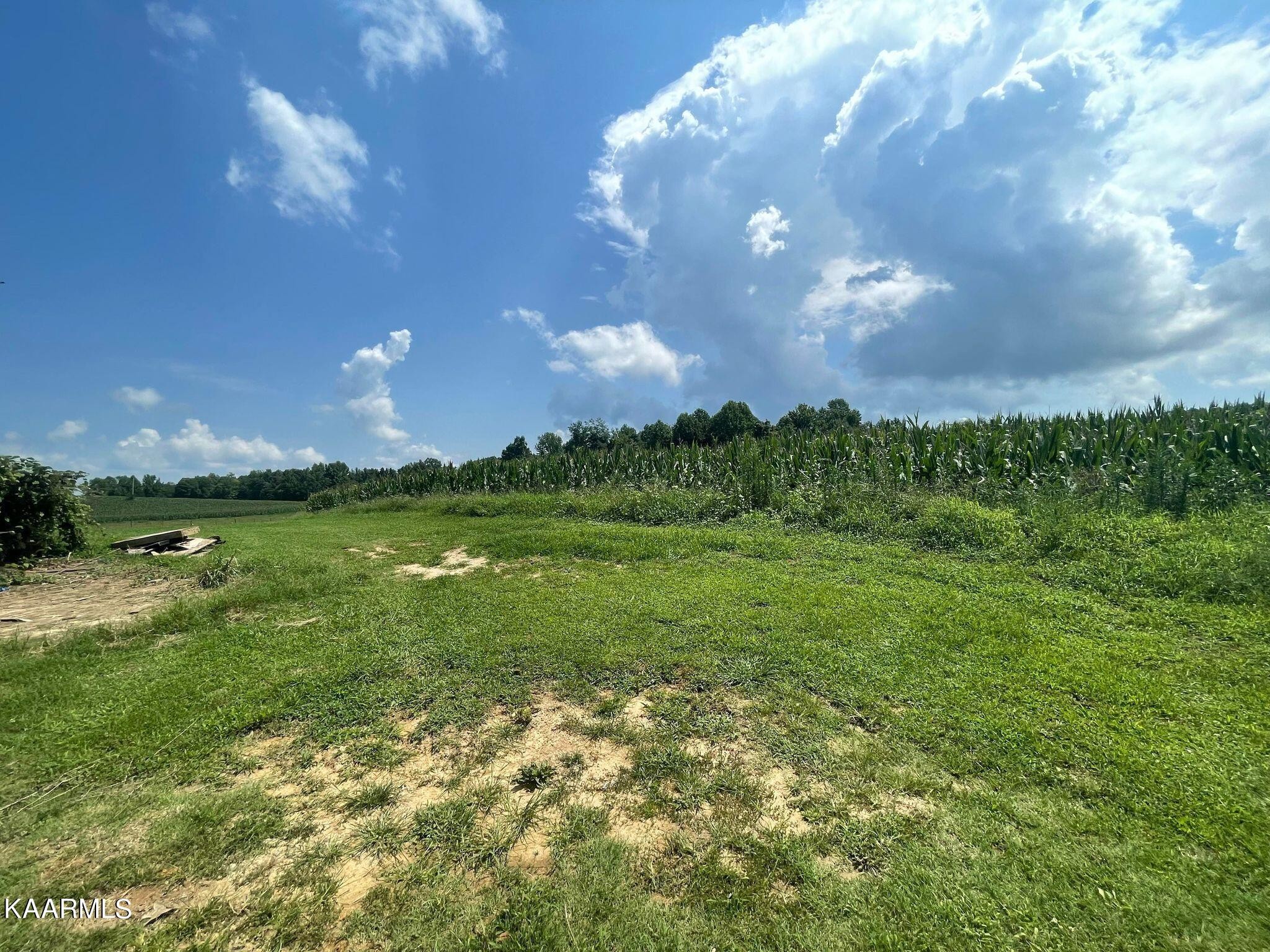 4197 Keisling Ridge Road Monroe, TN 38573 - Photo 34 of 51