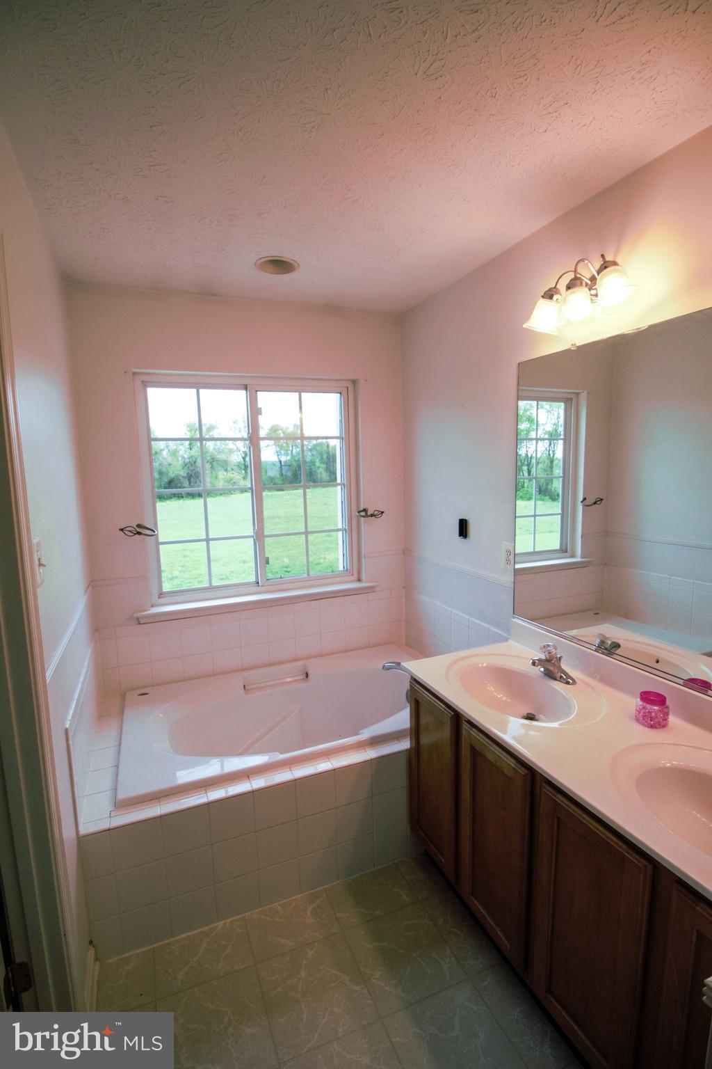 112 Maple Leaf Drive Rising Sun, MD 21911 - Photo 8 of 13 Master Bath, Bathtub & Shower