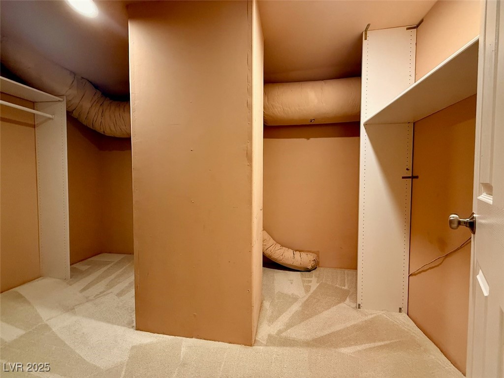 4969 Jeremy Drive Las Vegas, NV 89113 - Photo 58 of 73 Walk in closet featuring carpet flooring and elevator