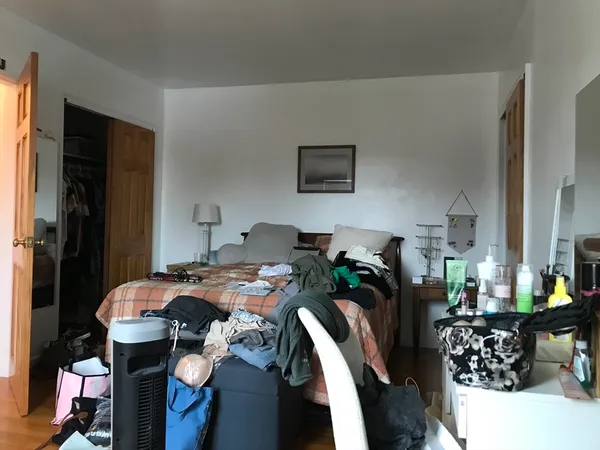 a bed room with furniture and a potted plant