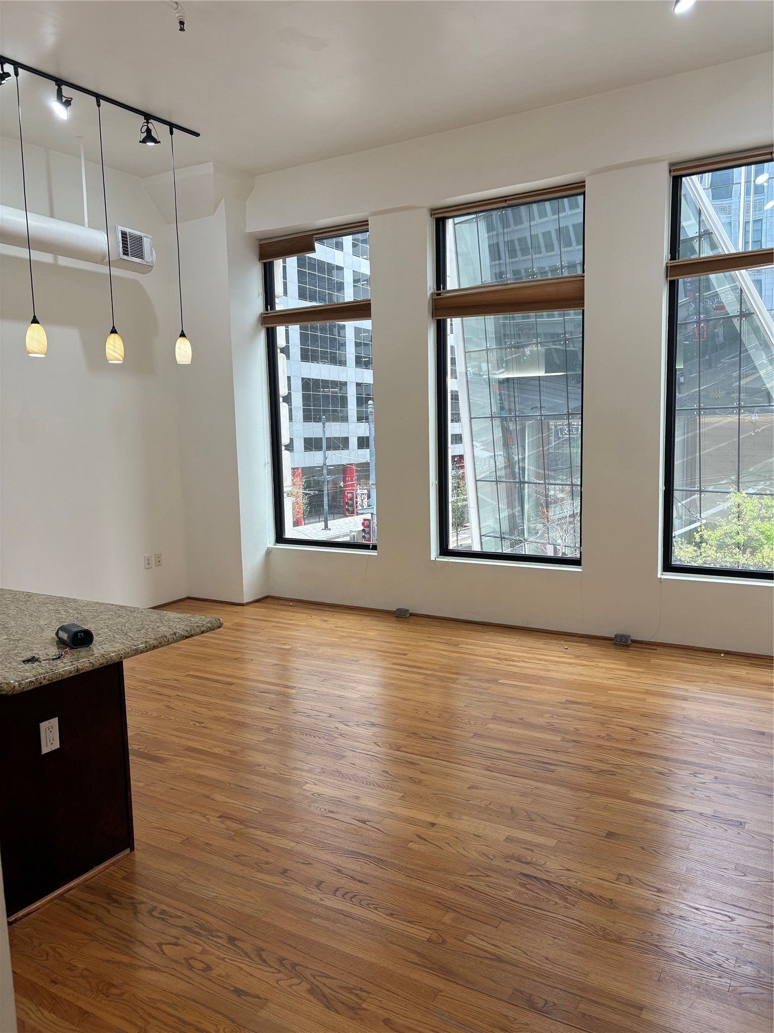 705 Main Street, Unit 205 Houston, TX 77002 - Photo 2 of 6 a view of an empty room with window and wooden floor