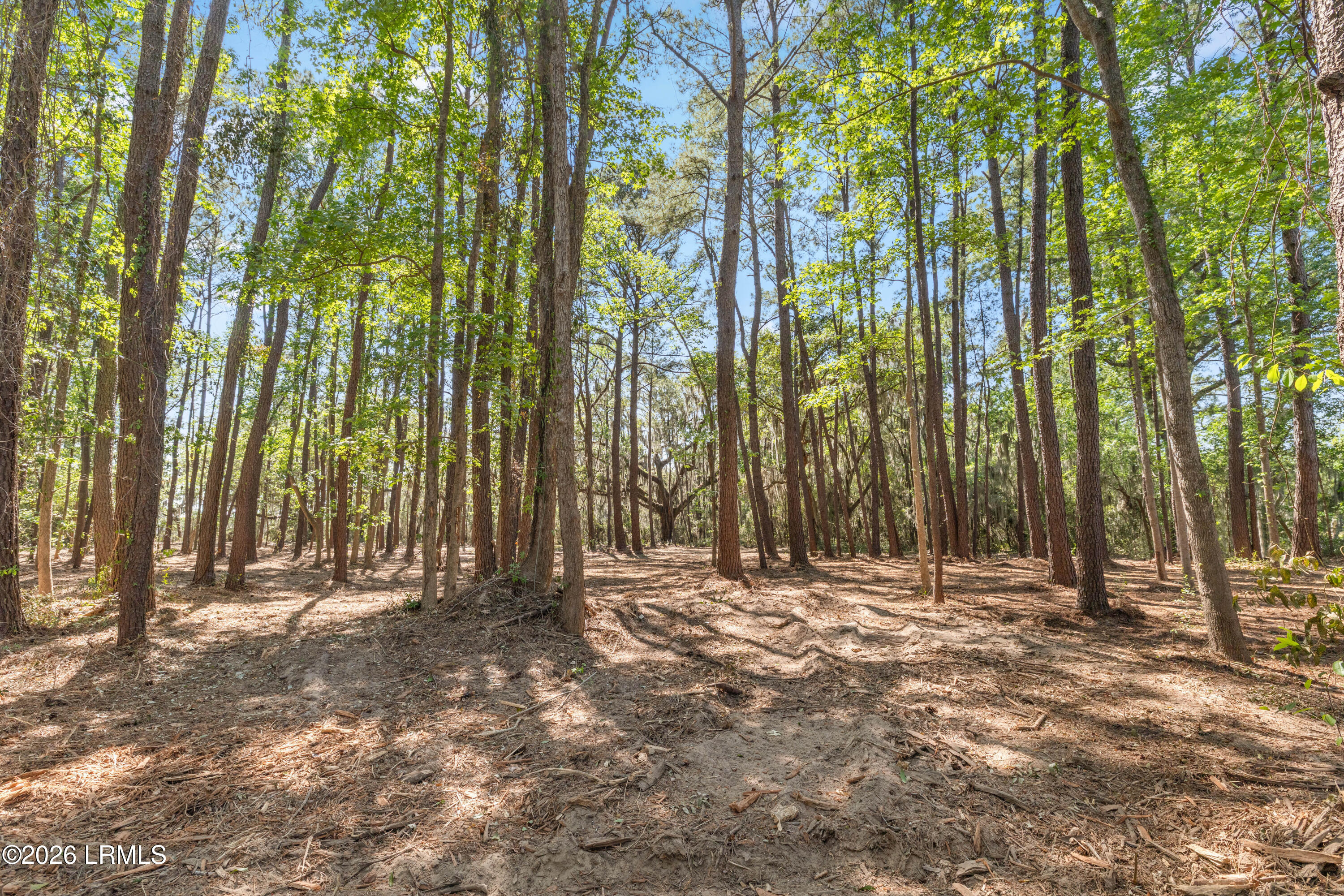 112 Stuart Point Road Seabrook, SC 29940 - Photo 15 of 17 108 Stuart Point Rd - 7