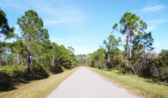a view of a yard with plants and trees