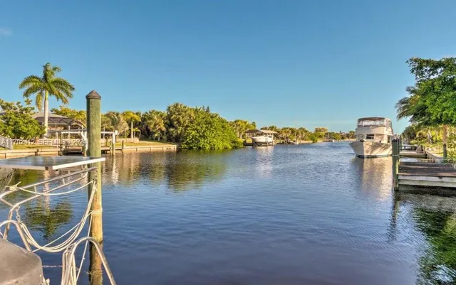 a view of a yard in a backyard