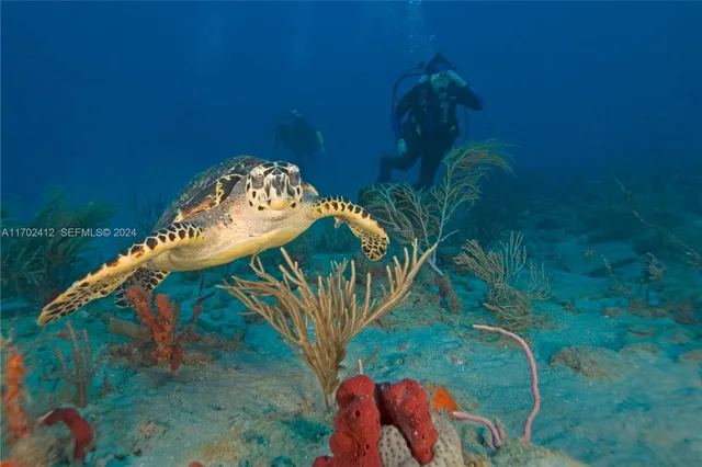 a view of a golf course with a garden
