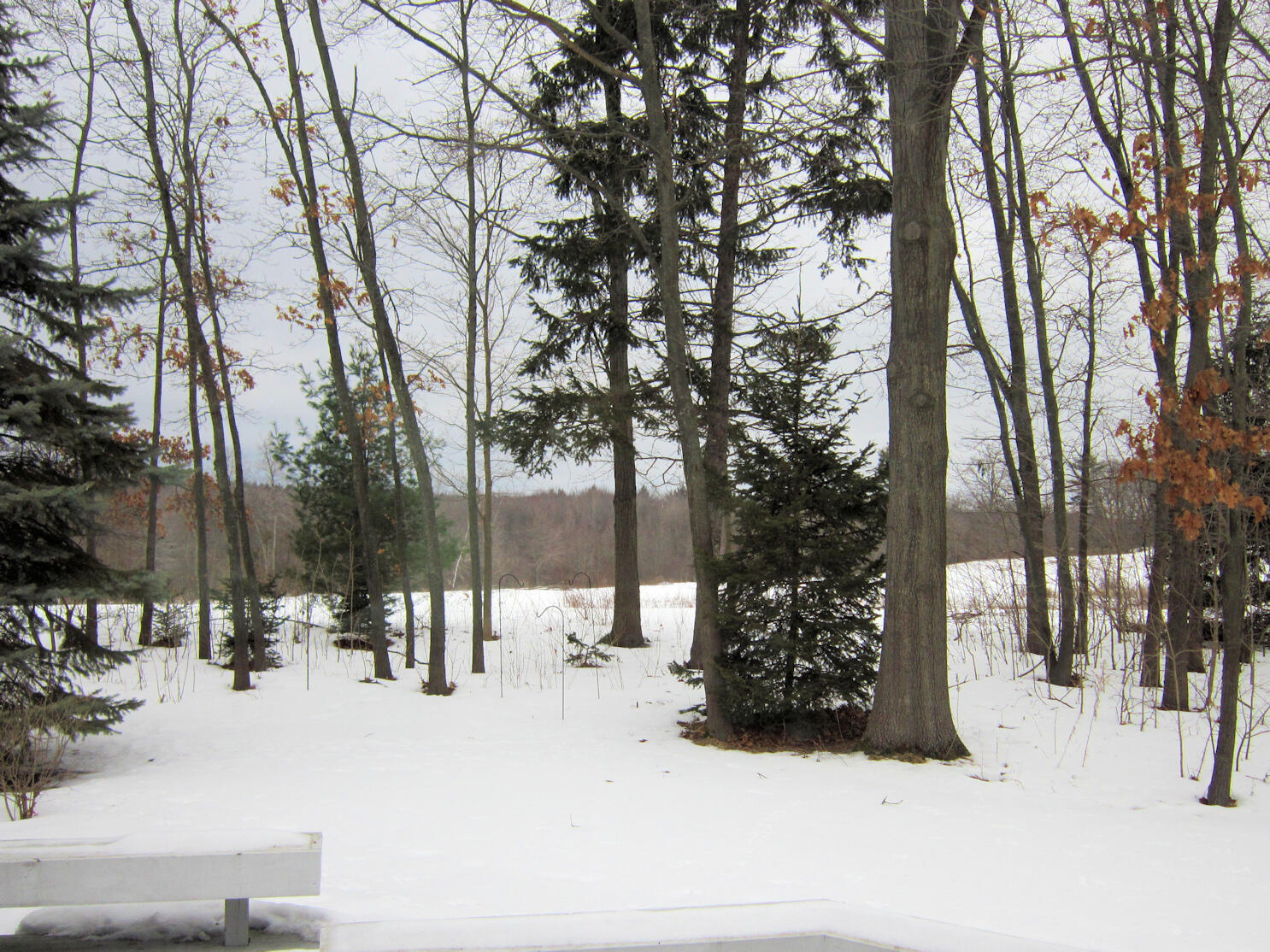 2988 Ridgeview Muskegon, MI 49445 - Photo 31 of 31 50