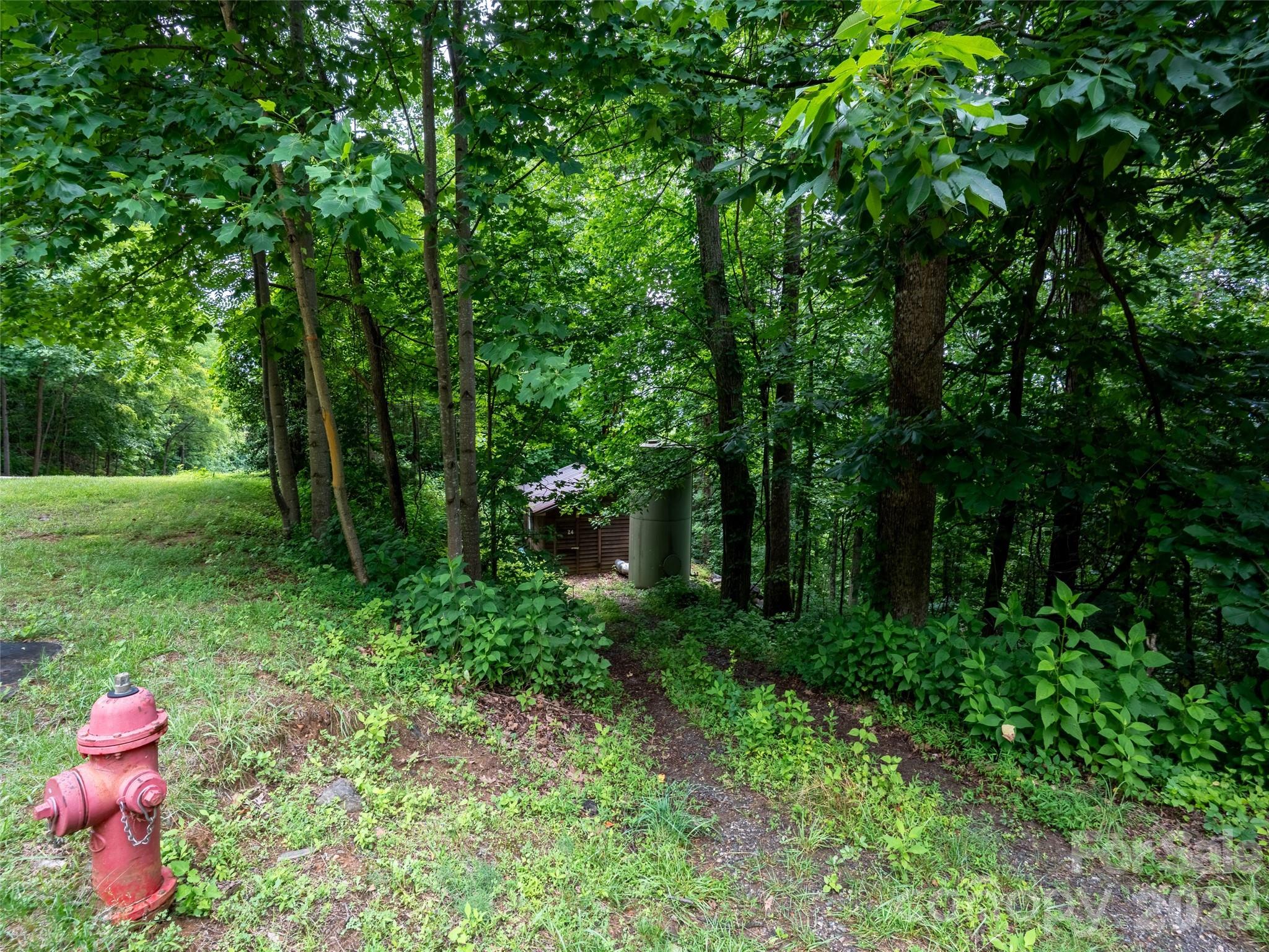 236 Nottingham Dr Mill Spring Mill Spring, NC 28756 - Photo 4 of 19