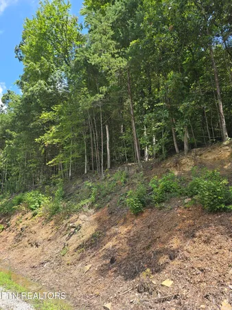 $30,000 | Ashley Lane, Jellico, TN 37762