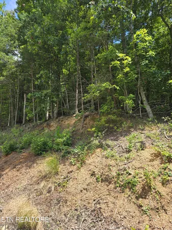 $30,000 | Ashley Lane, Jellico, TN 37762