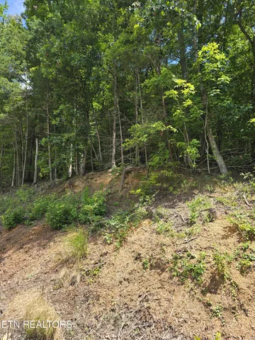 $30,000 | Ashley Lane, Jellico, TN 37762
