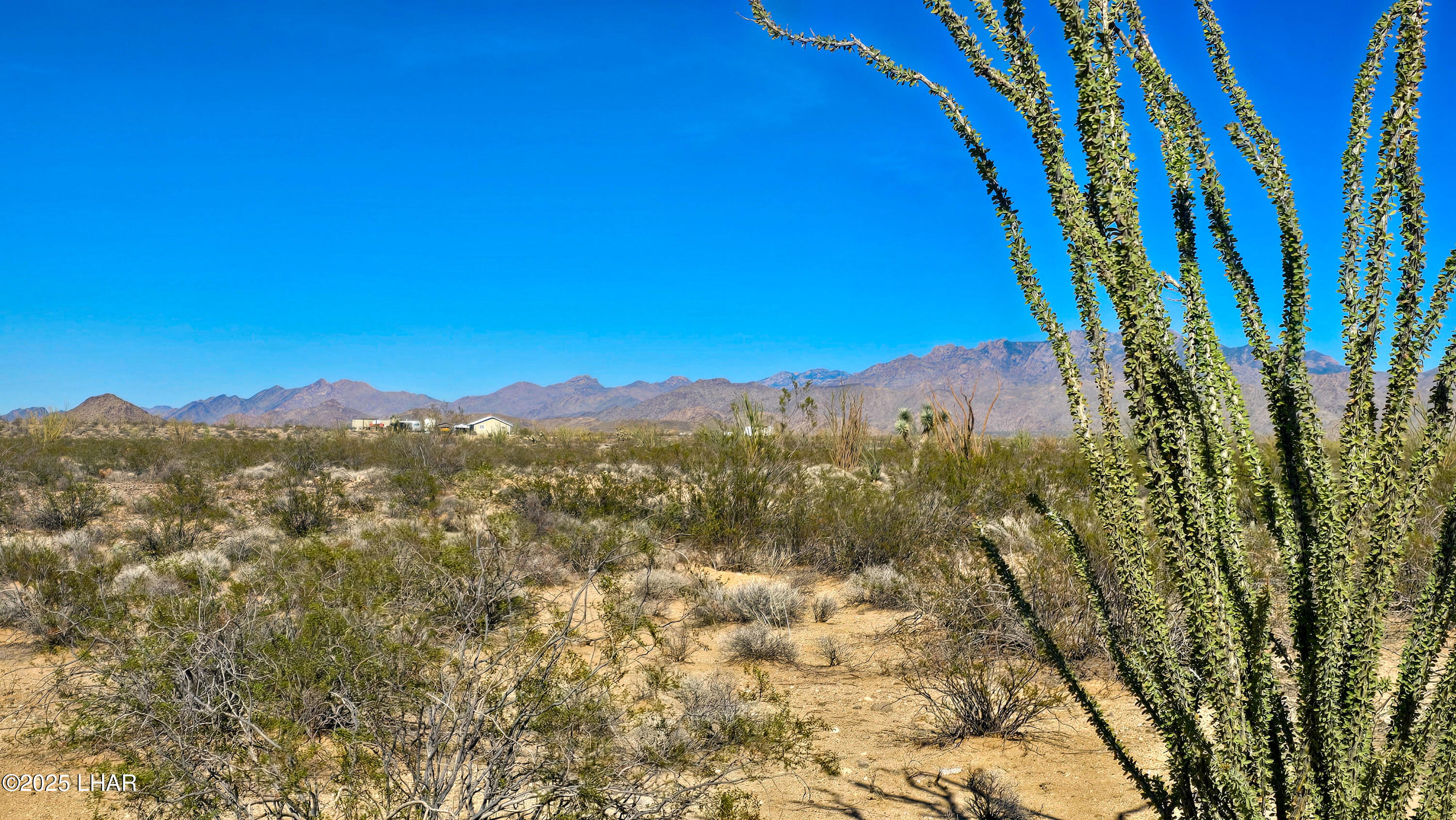 4-acres South Ray Road Yucca, AZ 86438 - Photo 1 of 18 a view of a city with lush green forest