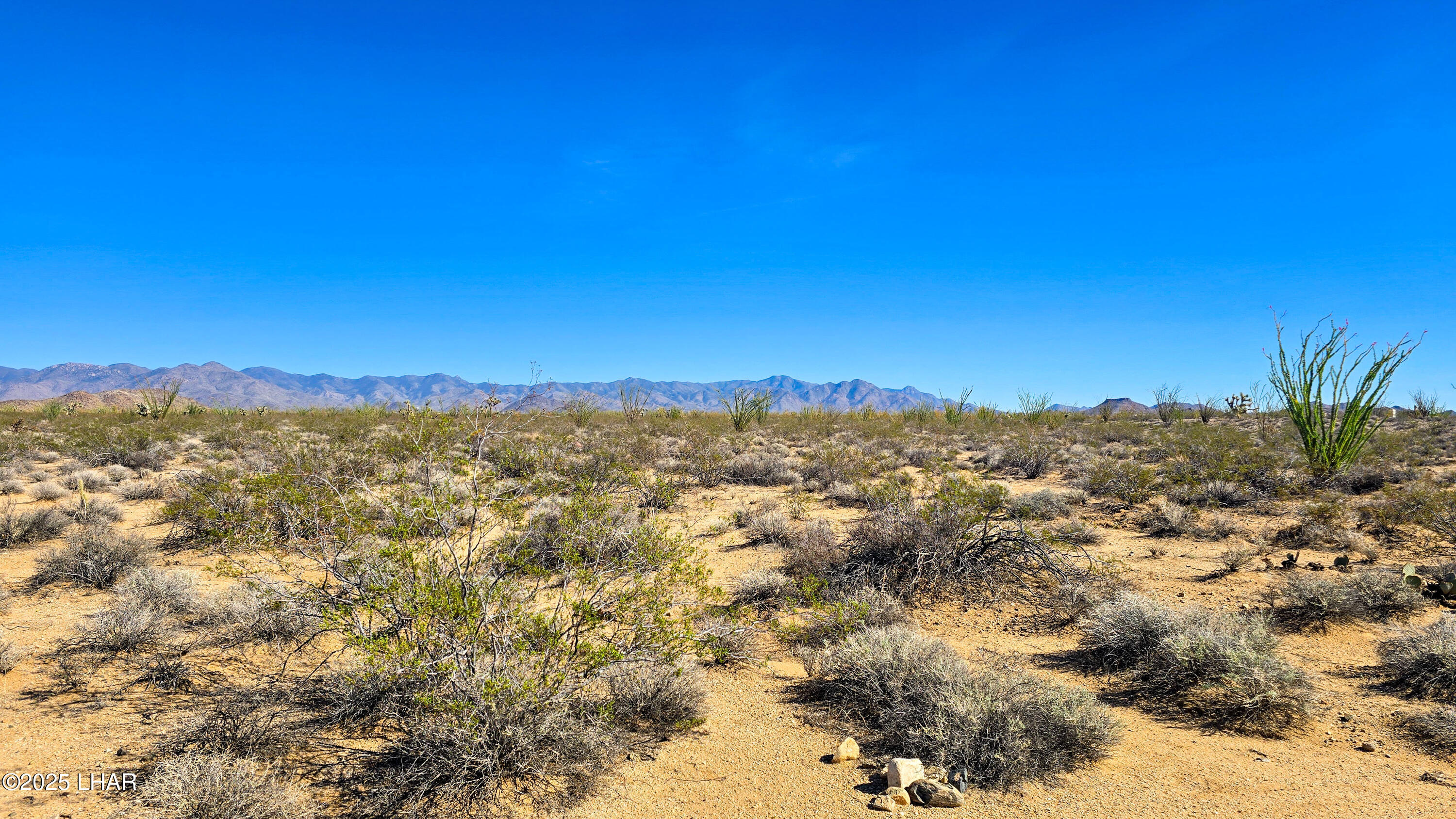 4-acres South Ray Road Yucca, AZ 86438 - Photo 15 of 18 a view of a city