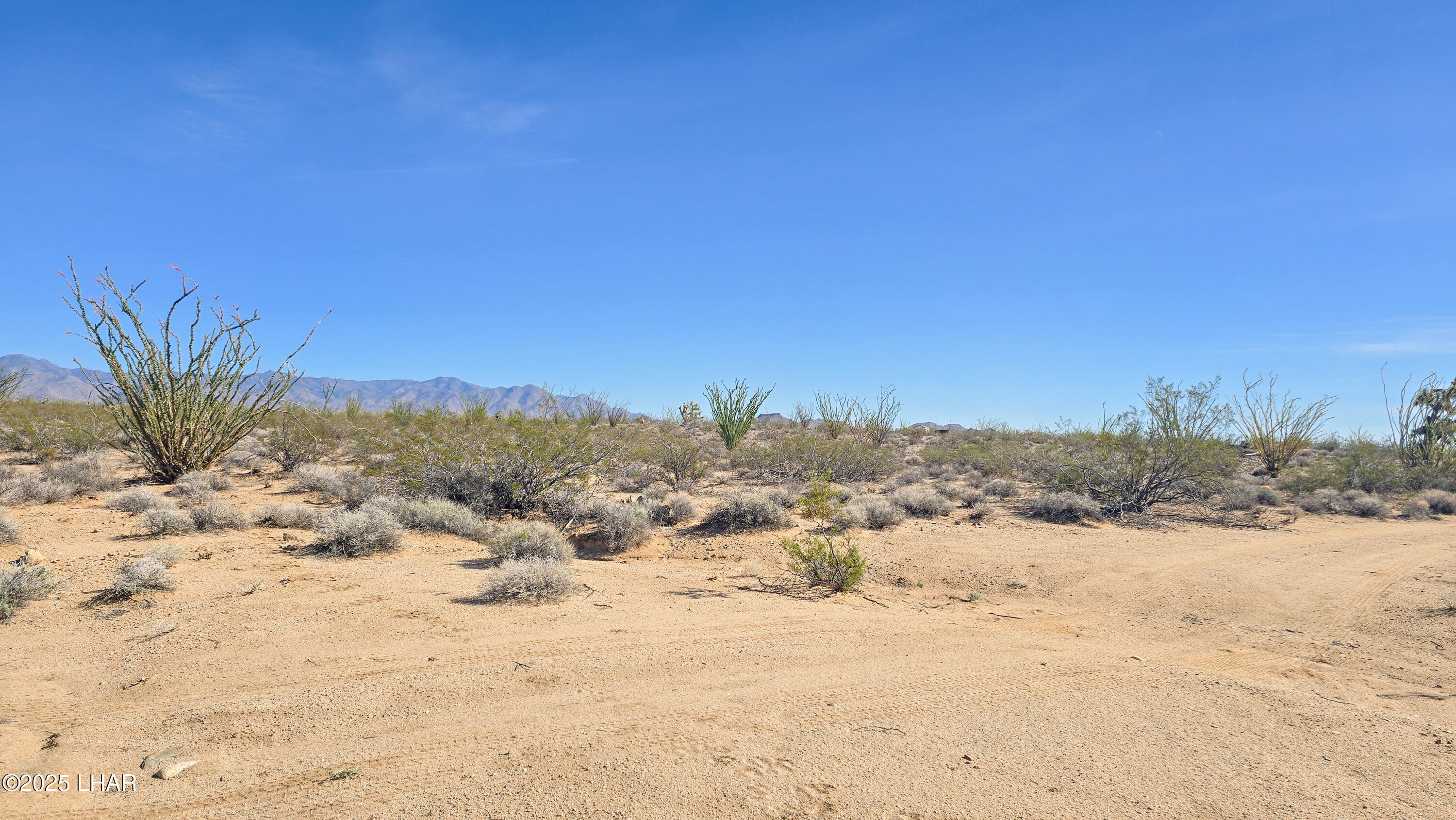 4-acres South Ray Road Yucca, AZ 86438 - Photo 8 of 18 a view of beach and snow