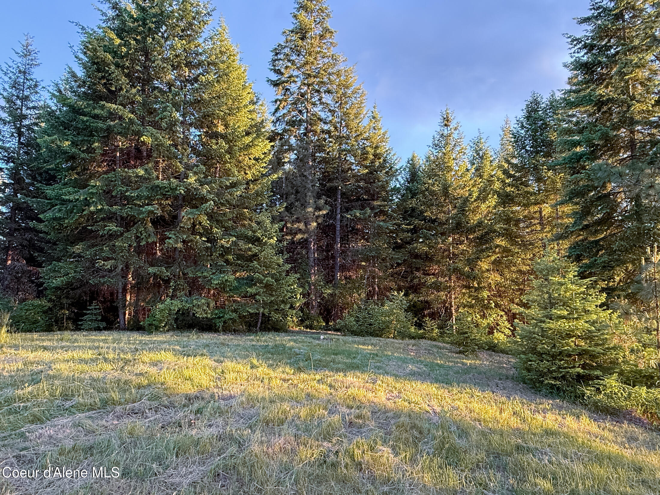 Lot 3 Ridgeview Drive St. Maries, ID 83861 - Photo 16 of 26 23