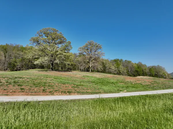 a view of a grassy field with trees