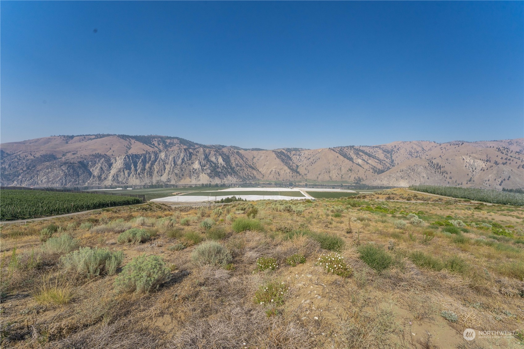 0 Bray's Landing Road Orondo, WA 98843 - Photo 10 of 12 Gallery Image 10