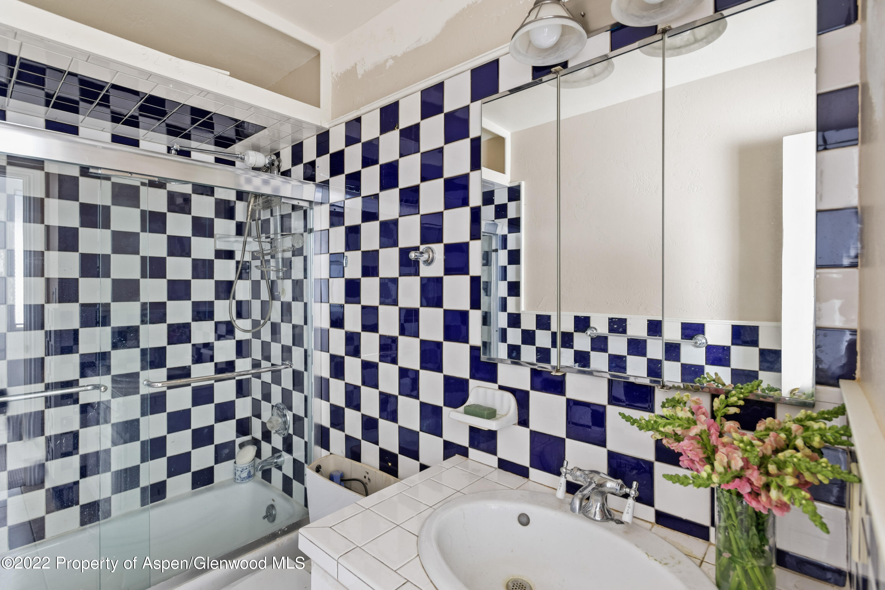 123 Swinging Bridge Lane Basalt, CO 81621 - Photo 12 of 15 a bathroom with a black and white checkered floor