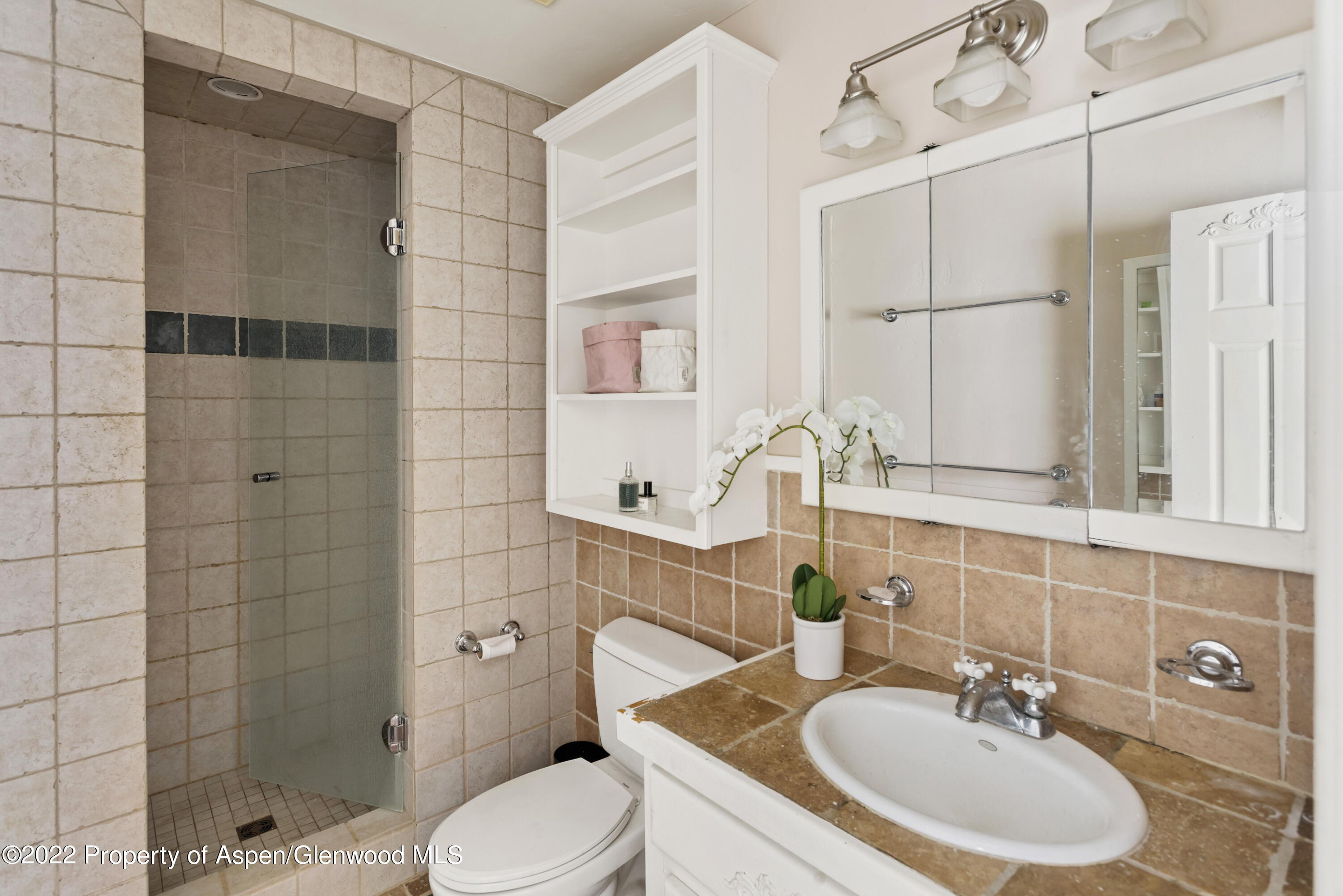 123 Swinging Bridge Lane Basalt, CO 81621 - Photo 9 of 15 a bathroom with a sink toilet and shower