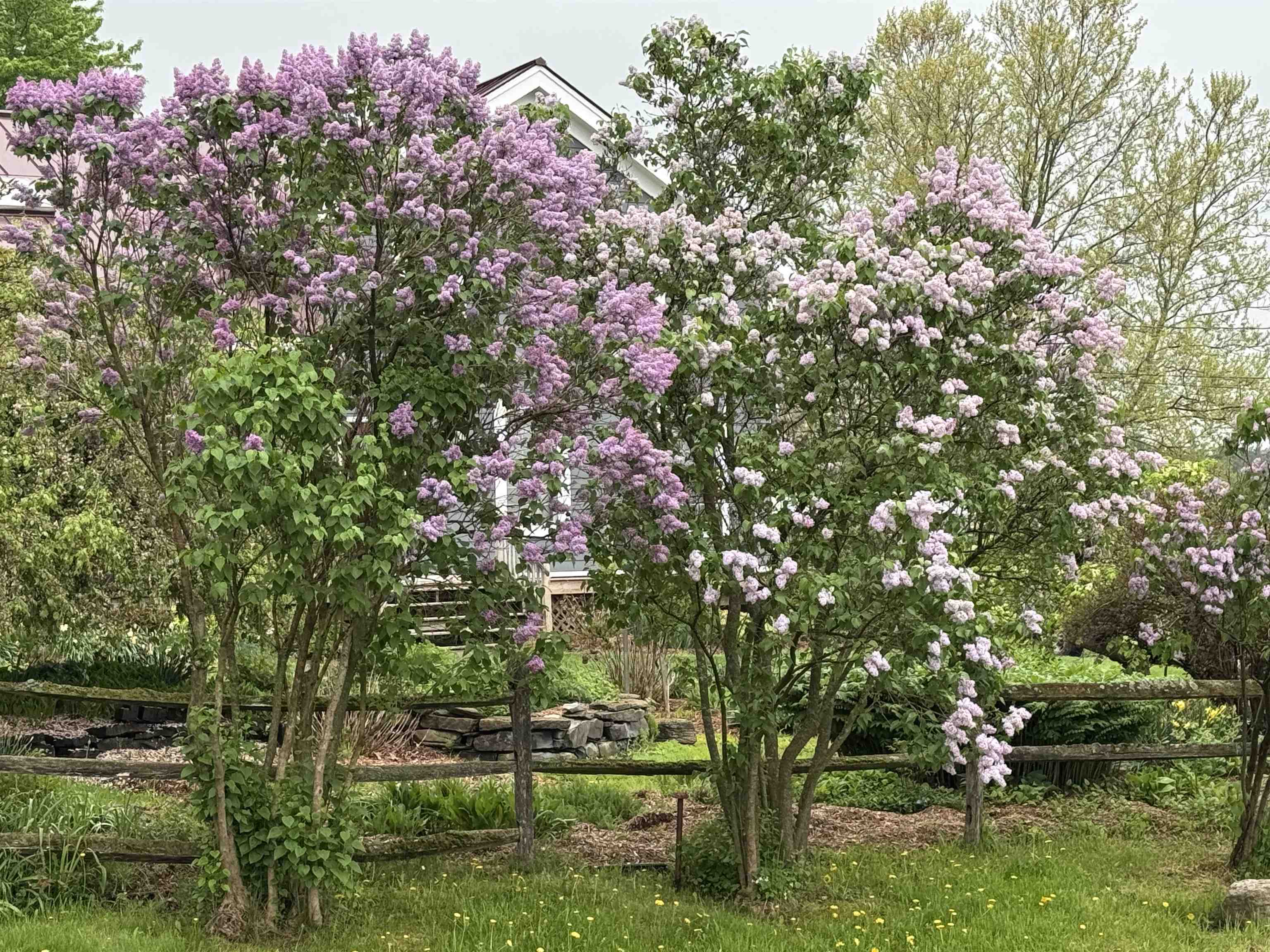 4351 Crown Point Road Bridport, VT 05734 - Photo 26 of 60