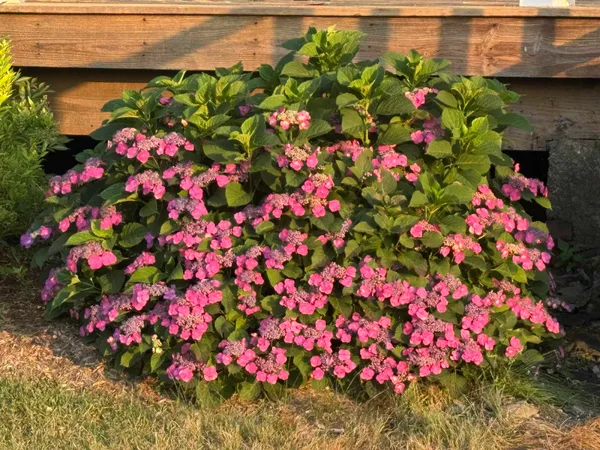 $619,900 | 4351 Crown Point Road, Bridport, VT 05734