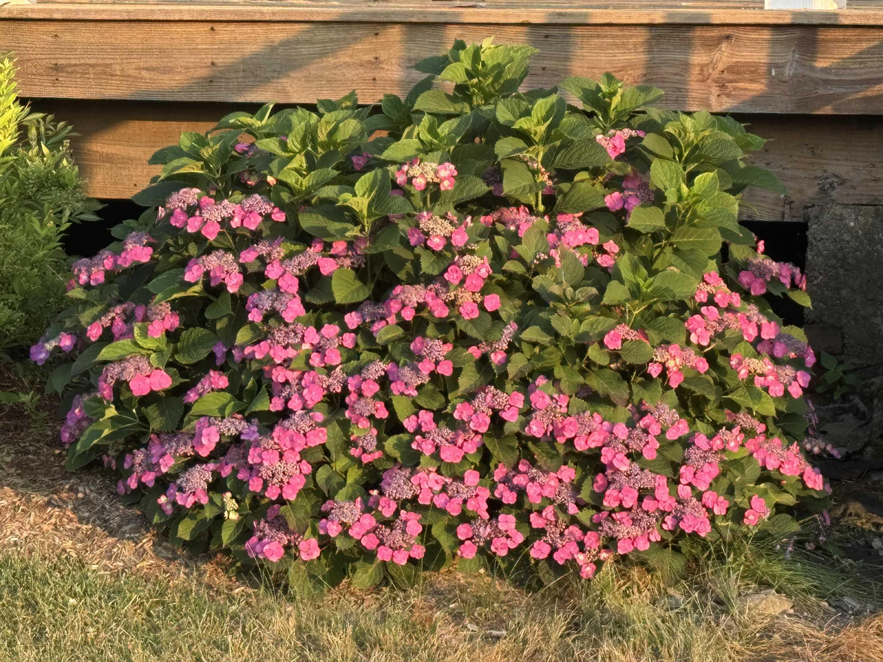 4351 Crown Point Road Bridport, VT 05734 - Photo 55 of 60