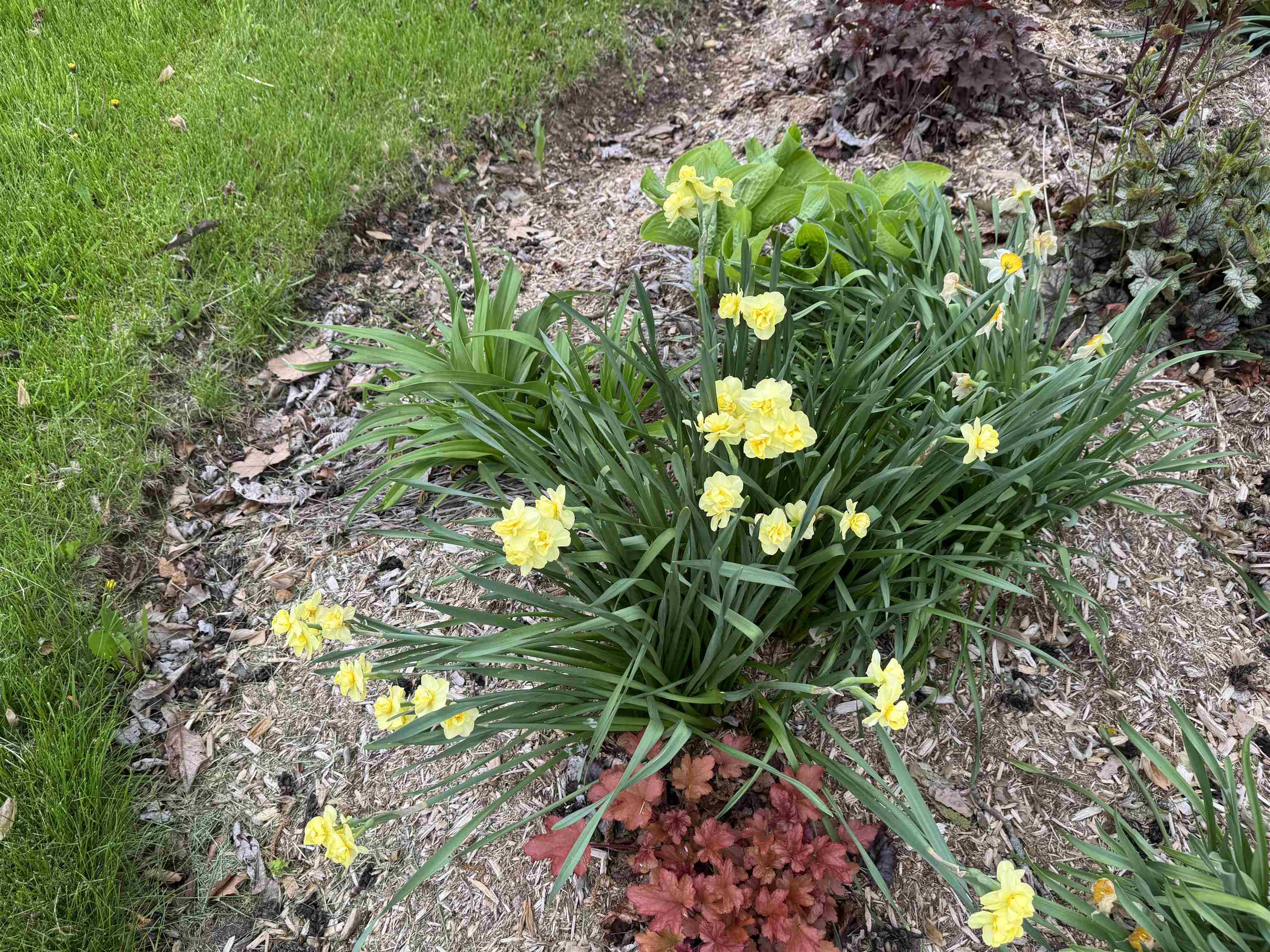 4351 Crown Point Road Bridport, VT 05734 - Photo 57 of 60
