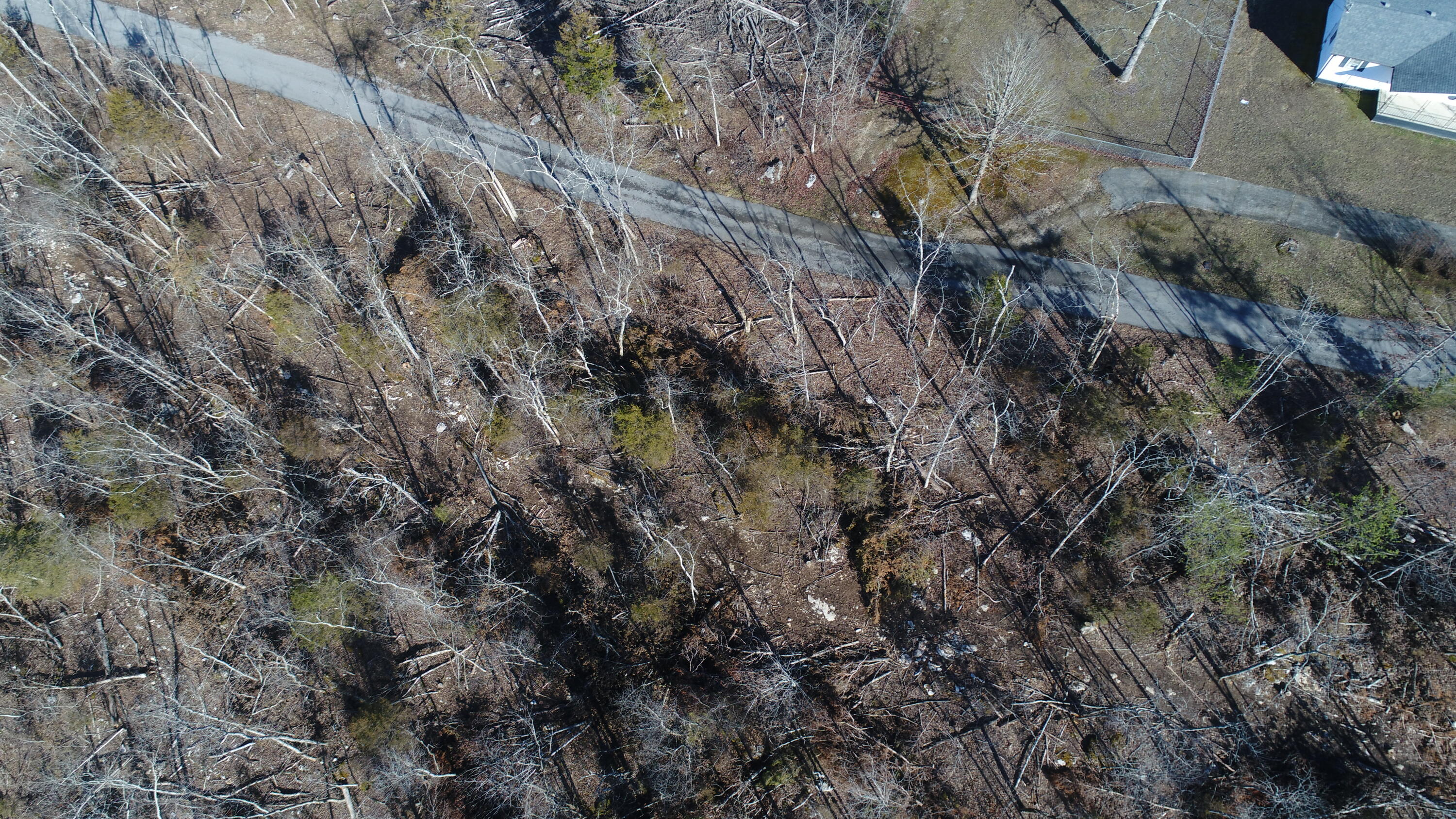 200 Coal Pit Road Somerset, KY 42501 - Photo 5 of 9 DJI_0632
