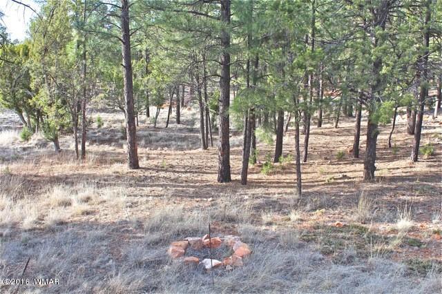 3321 Lodgepole Road Overgaard, AZ 85933 - Photo 33 of 52